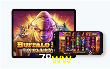 Recursos de Bônus 78ww